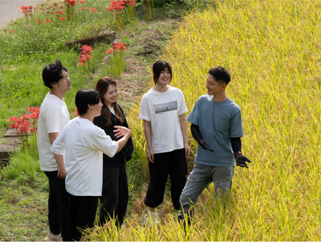 田植えを待つ苗
